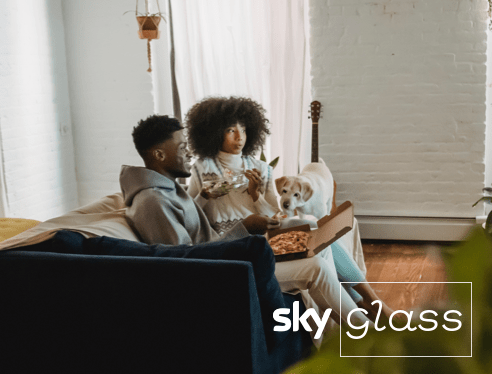 sky glass installation