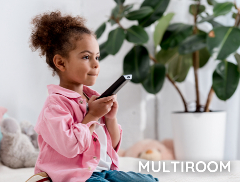 Multiroom TV